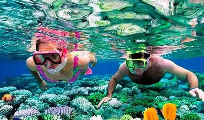 Dive Packages