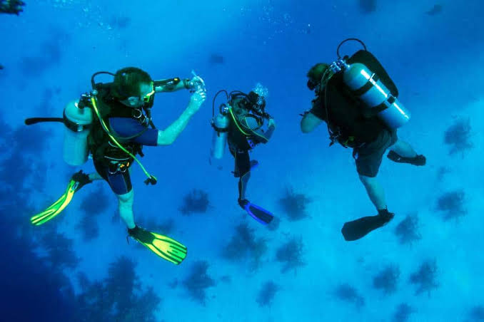 Easy Scuba Diving Courses Rincon del Mar